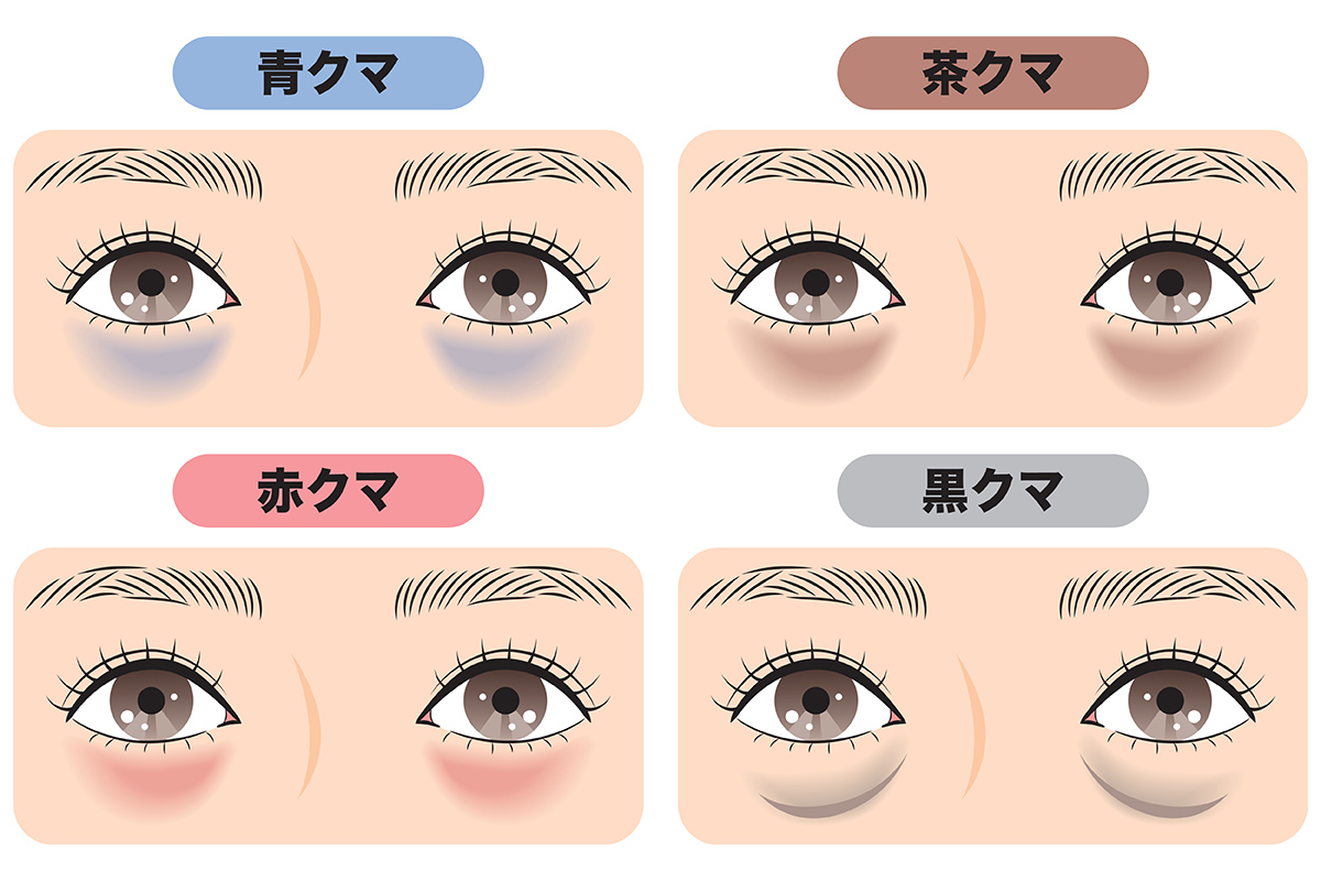第1章 あなたのクマはどれ?4種類のクマの見分け方
