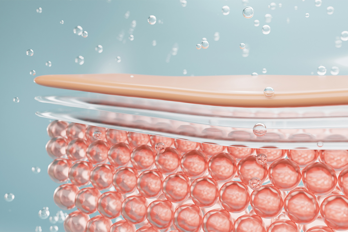 第1章 そもそも茶クマとは?