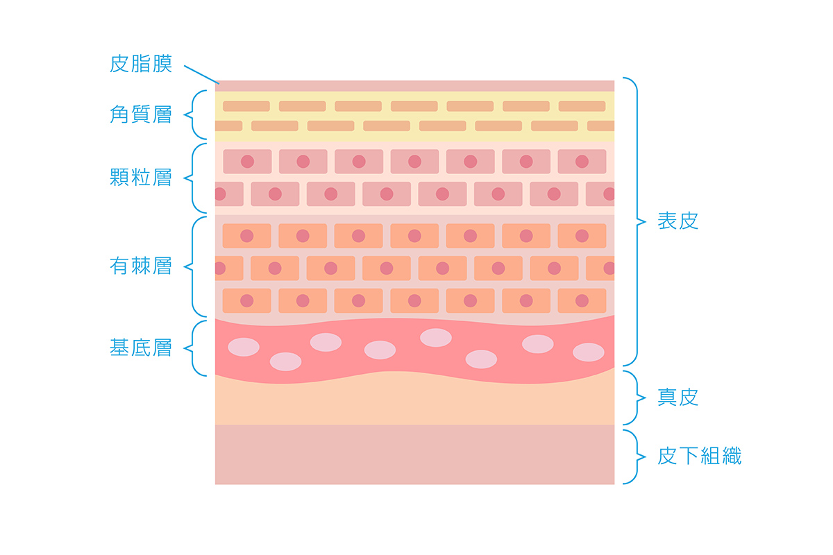 第2章 紫クマと青クマの決定的な違い