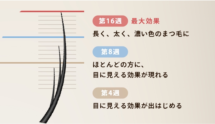グラッシュビスタとは