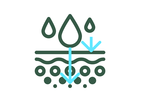 エレクトロポレーション