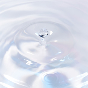 目やにが出たら水で優しくケアしましょう